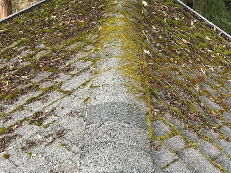 Brier Roof Cleaning and Moss Removal Before and After