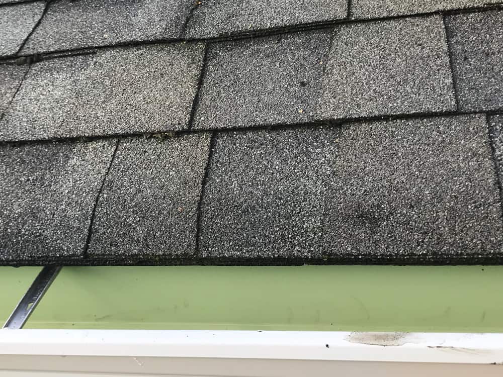 Ballard Gutter Cleaning Service Before and After