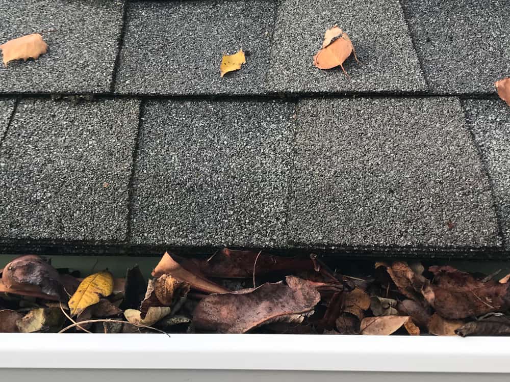 Ballard Gutter Cleaning Service Before and After