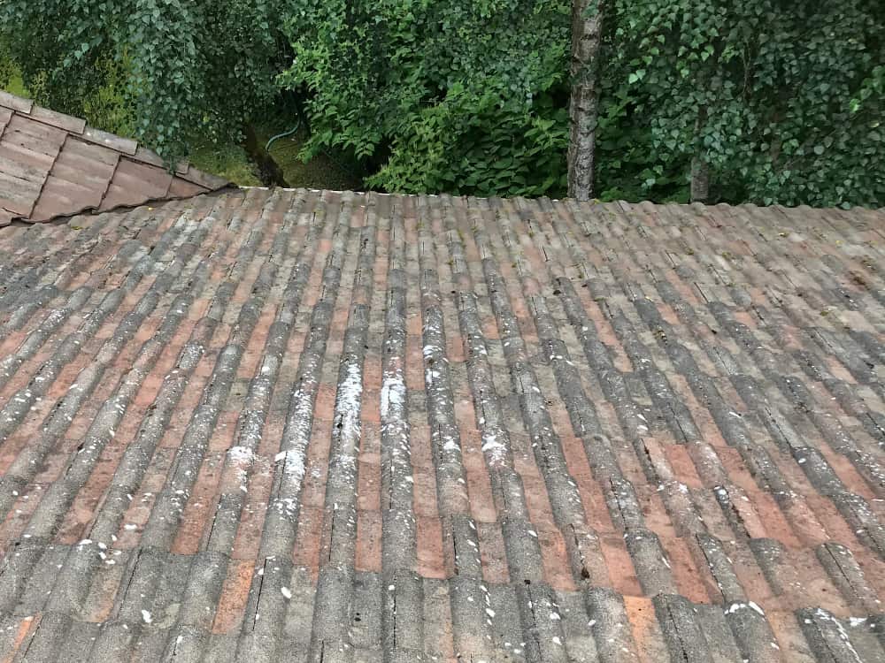 Ballard Roof Cleaning and Moss Removal Before and After