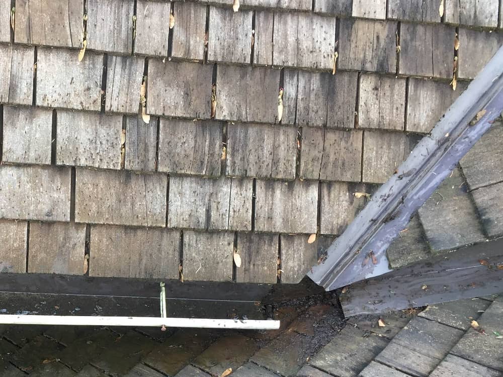 Bellevue Gutter Cleaning Service Before and After