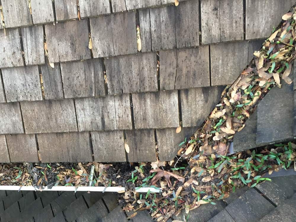 Bellevue Gutter Cleaning Service Before and After