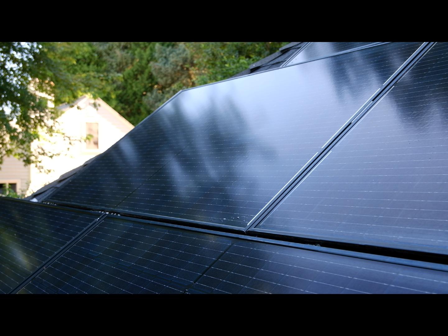 Bellevue Solar Panel Cleaning Service Before and After Photos