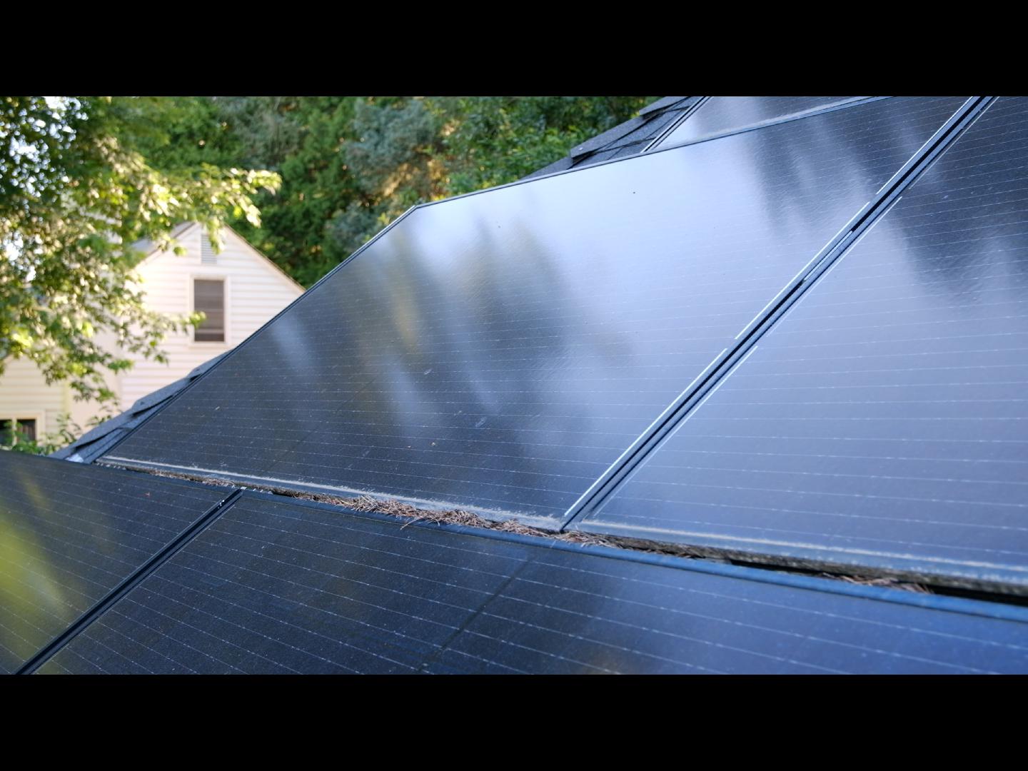 Bellevue Solar Panel Cleaning Service Before and After Photos