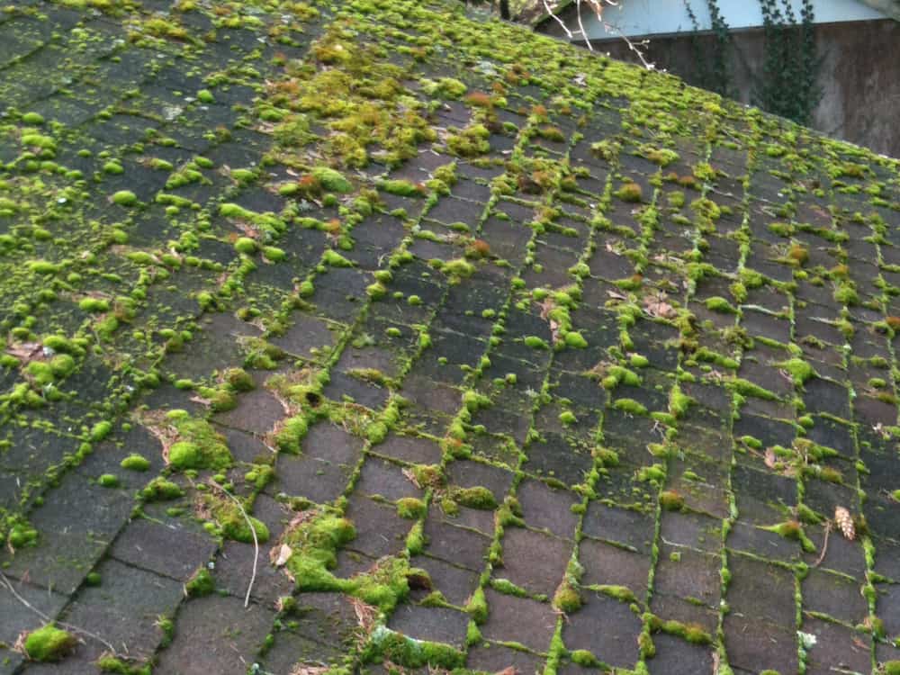 Bonney Lake Roof Cleaning and Moss Removal Before and After