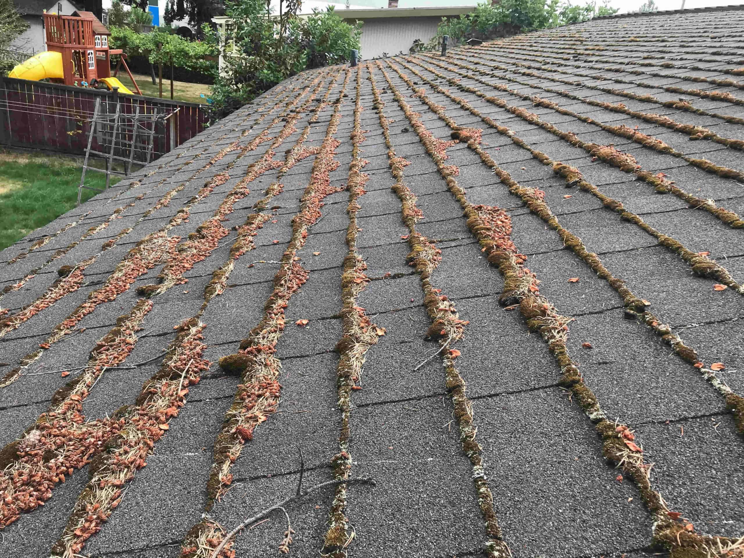 Bothell Roof Cleaning and Moss Removal Before and After
