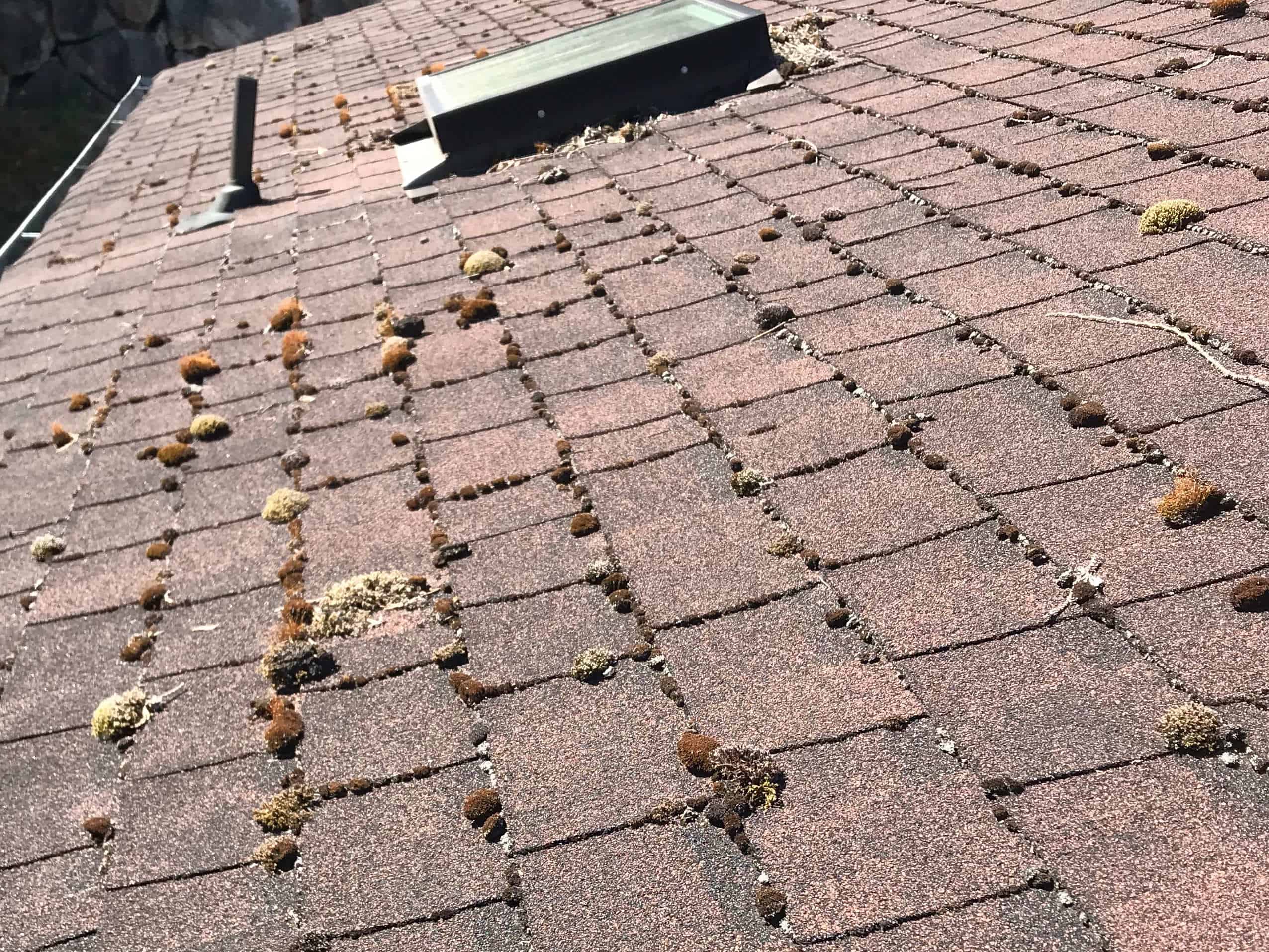 Cornelius Roof Cleaning and Moss Removal Before and After