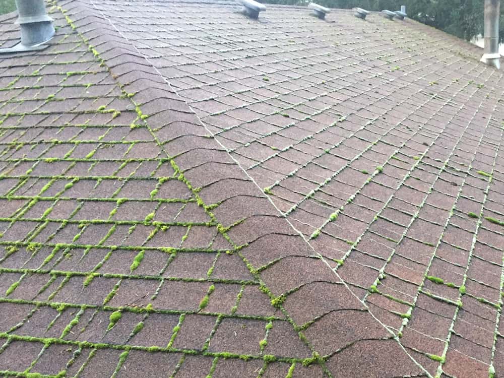 Carnation Roof Cleaning and Moss Removal Before and After