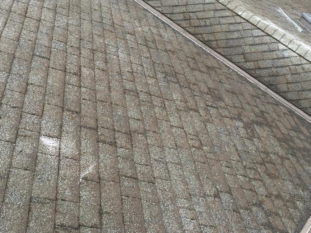 Gladstone Roof Cleaning and Moss Removal Before and After