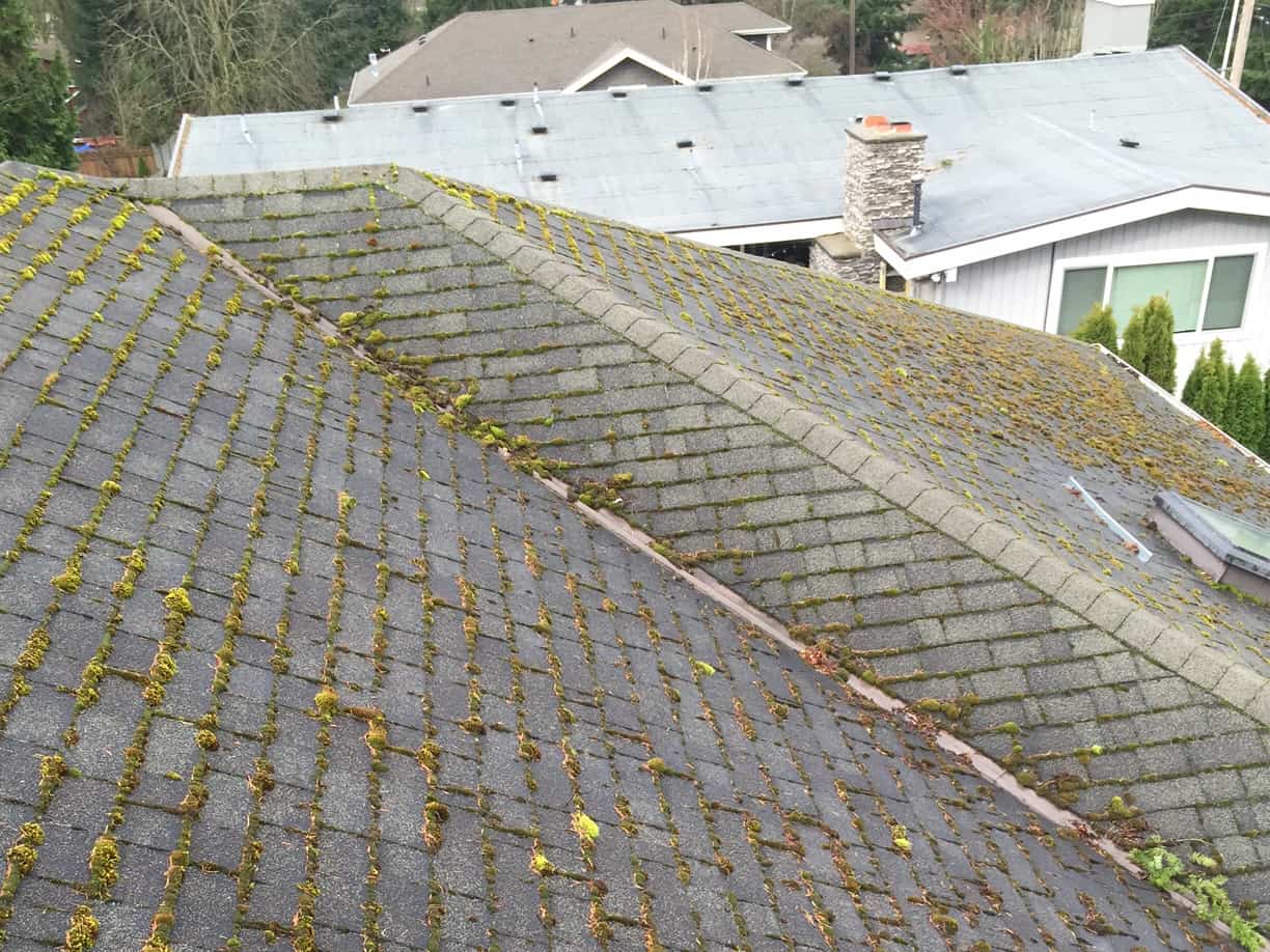Clackamas Roof Cleaning and Moss Removal Before and After