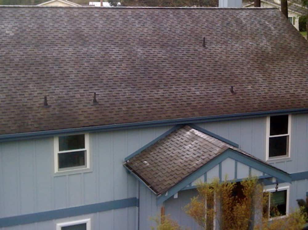 Ellsworth Roof Cleaning and Moss Removal Before and After
