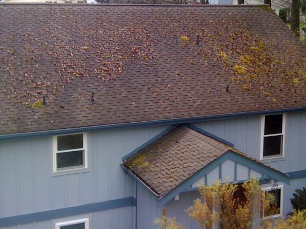 Ellsworth Roof Cleaning and Moss Removal Before and After