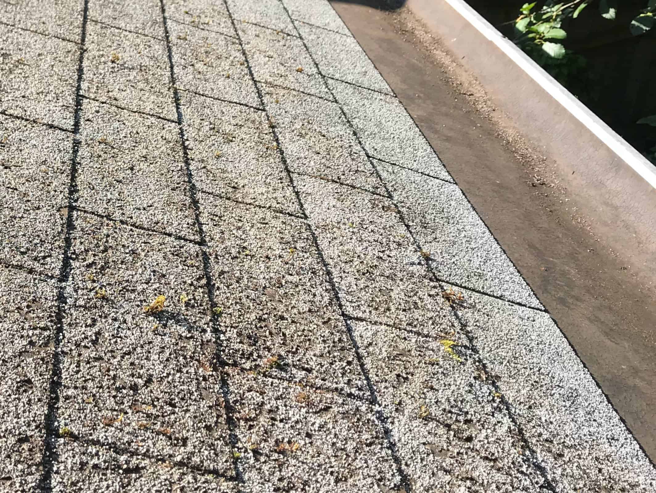 Everett Roof Cleaning and Moss Removal Before and After