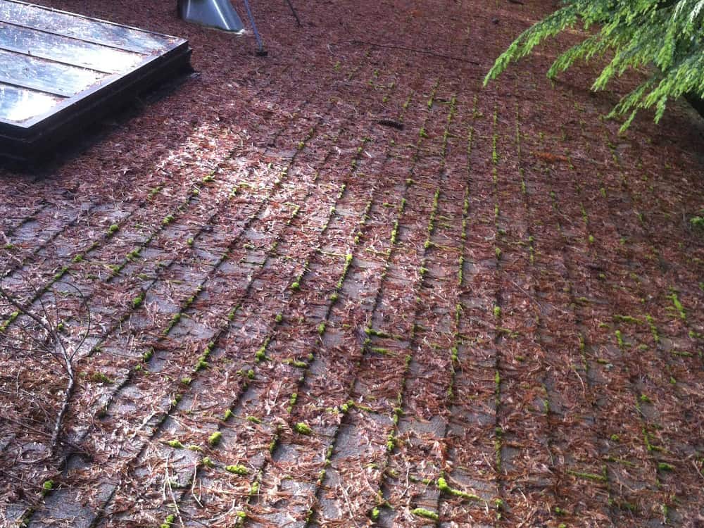 Fairview Roof Cleaning and Moss Removal Before and After