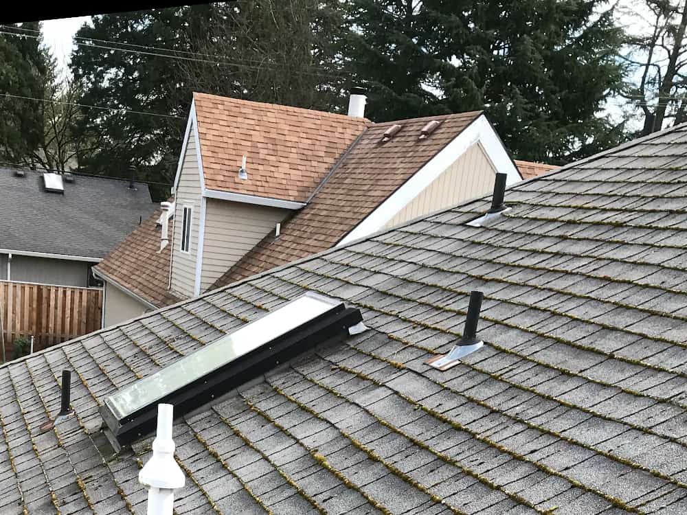 Forest Grove Roof Cleaning and Moss Removal Before and After