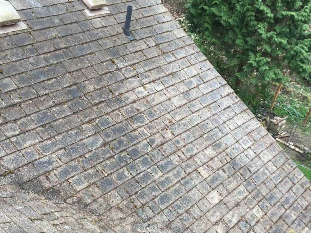 Gresham Roof Cleaning and Moss Removal Before and After