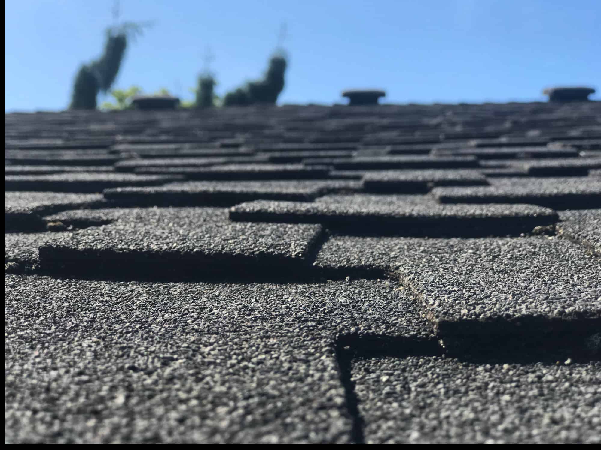 Issaquah Roof Cleaning and Moss Removal Before and After