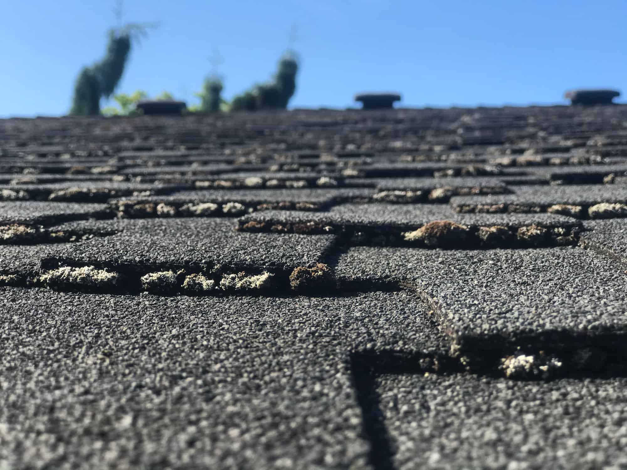 Issaquah Roof Cleaning and Moss Removal Before and After