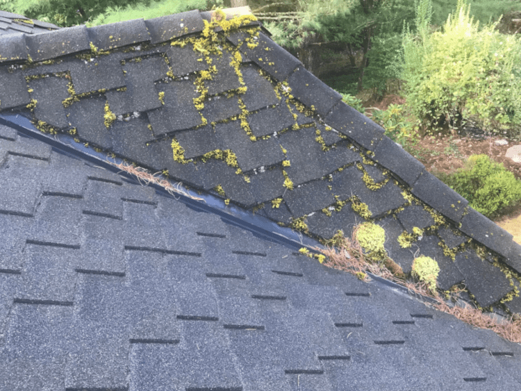Kent Roof Cleaning and Moss Removal Before and After