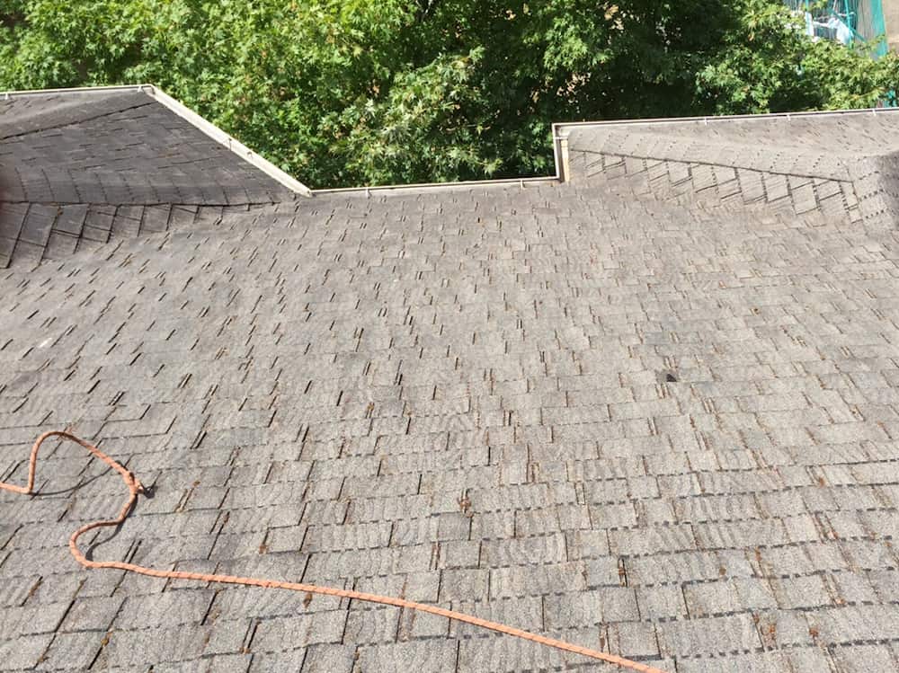 Lake Forest Park Roof Cleaning and Moss Removal Before and After
