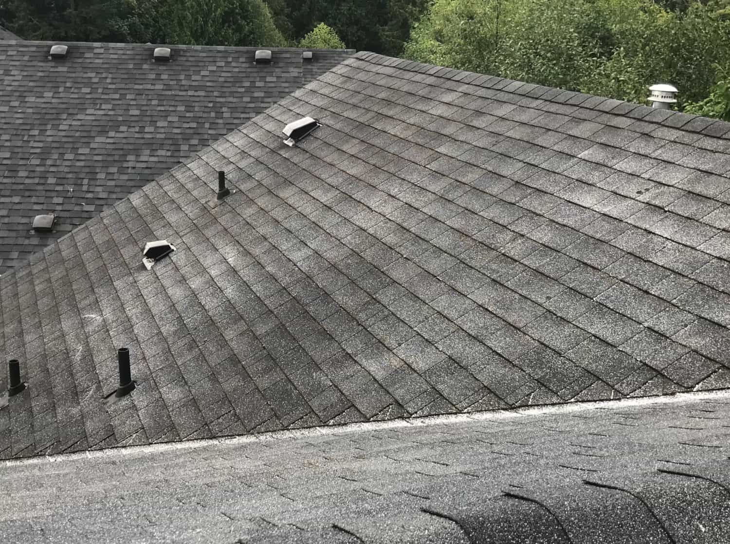 Lynnwood Roof Cleaning and Moss Removal Before and After