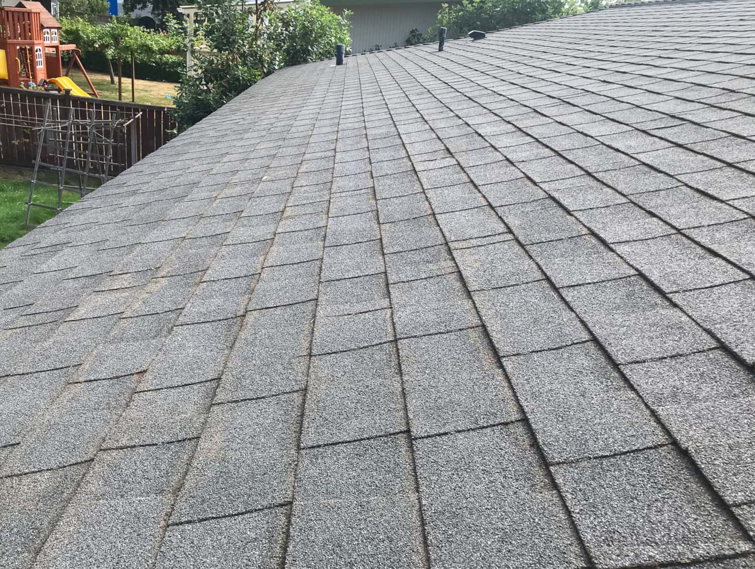 Clyde Hill Roof Cleaning and Moss Removal Before and After