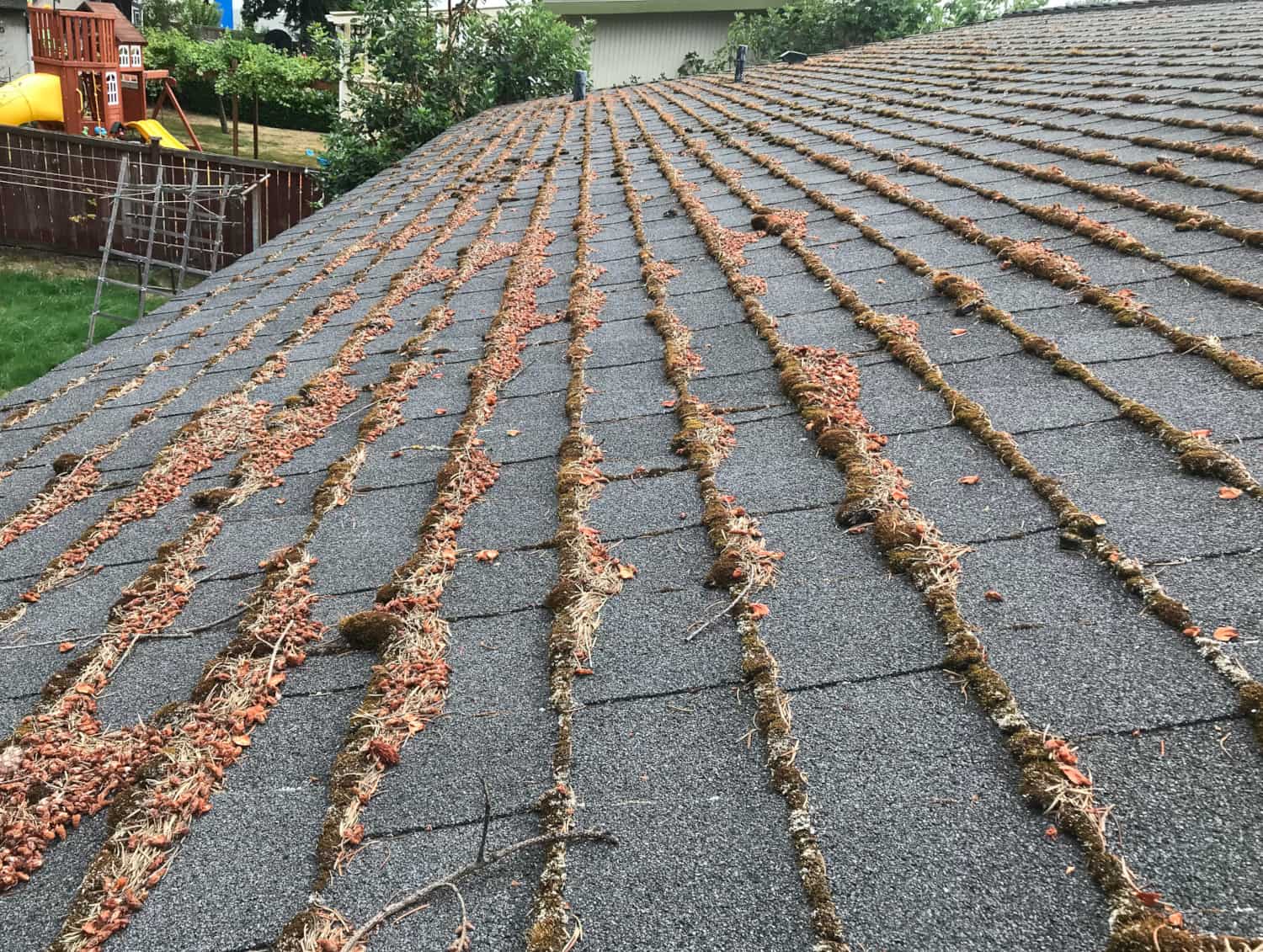 Mercer Island Roof Cleaning and Moss Removal Before and After