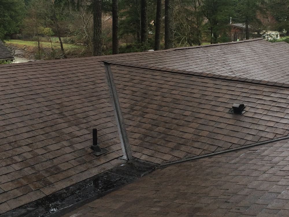Mill Creek Roof Cleaning and Moss Removal Before and After