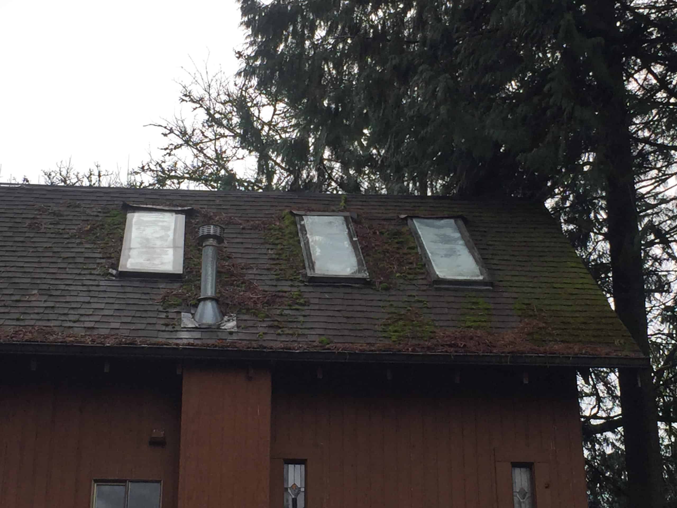 Monroe Roof Cleaning and Moss Removal Before and After