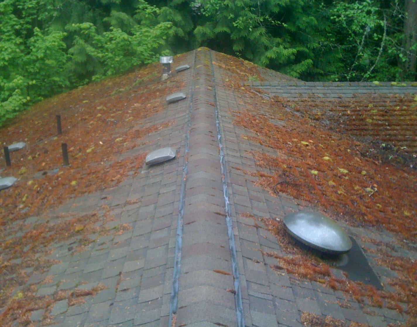Mukilteo Roof Cleaning and Moss Removal Before and After