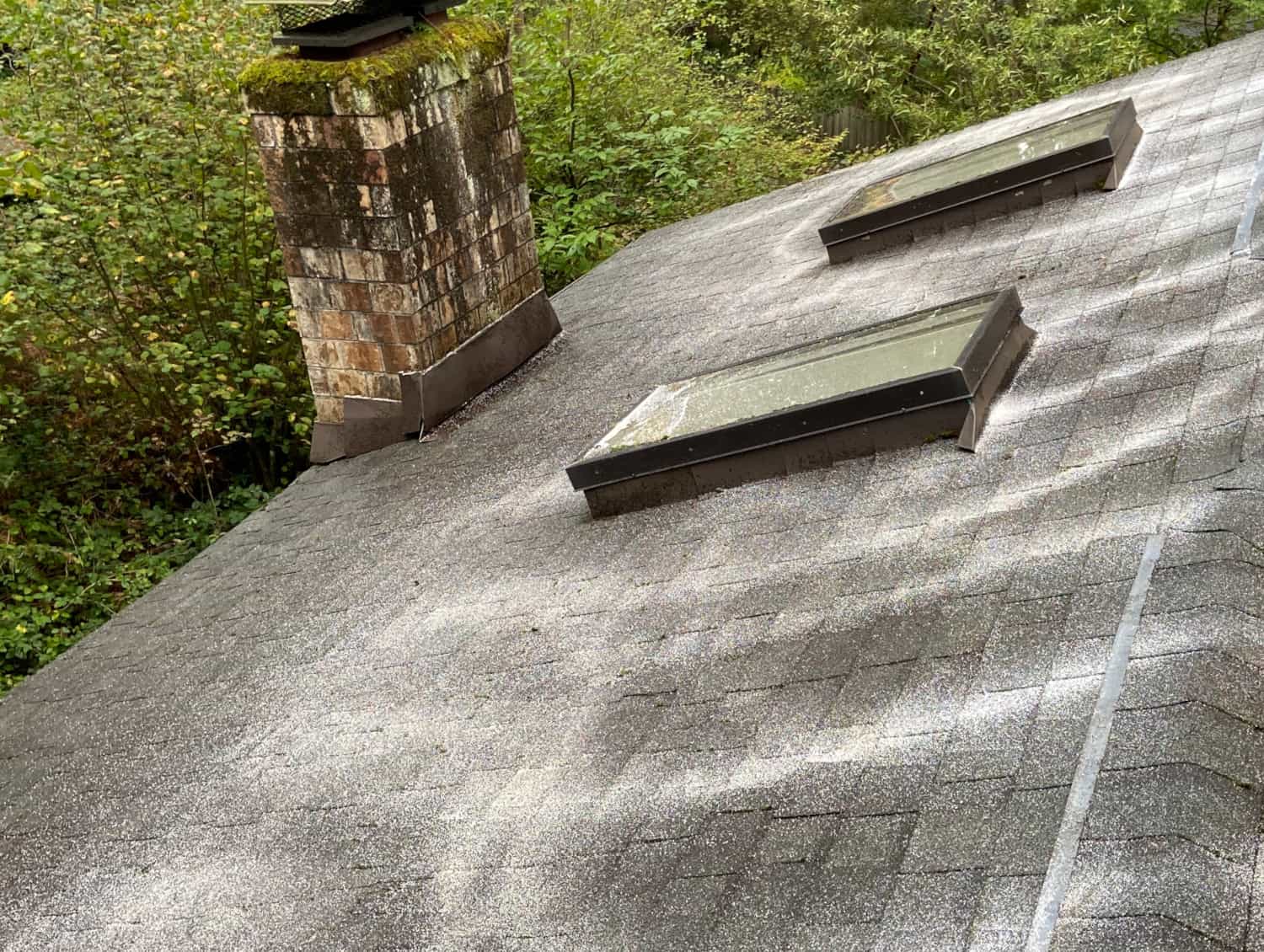 Newcastle Roof Cleaning and Moss Removal Before and After