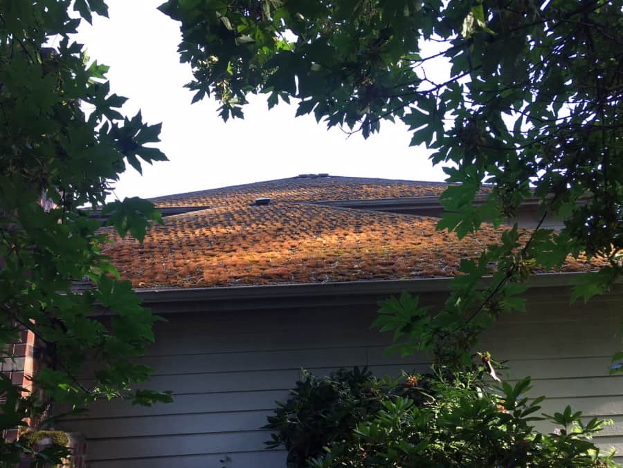 North Bend Roof Cleaning and Moss Removal Before and After