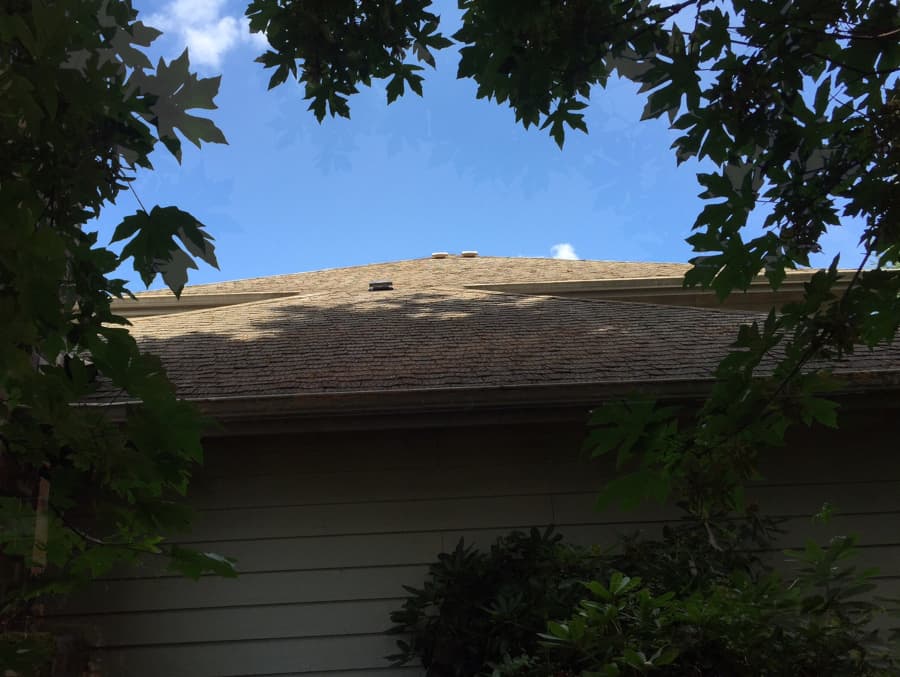 North Bend Roof Cleaning and Moss Removal Before and After