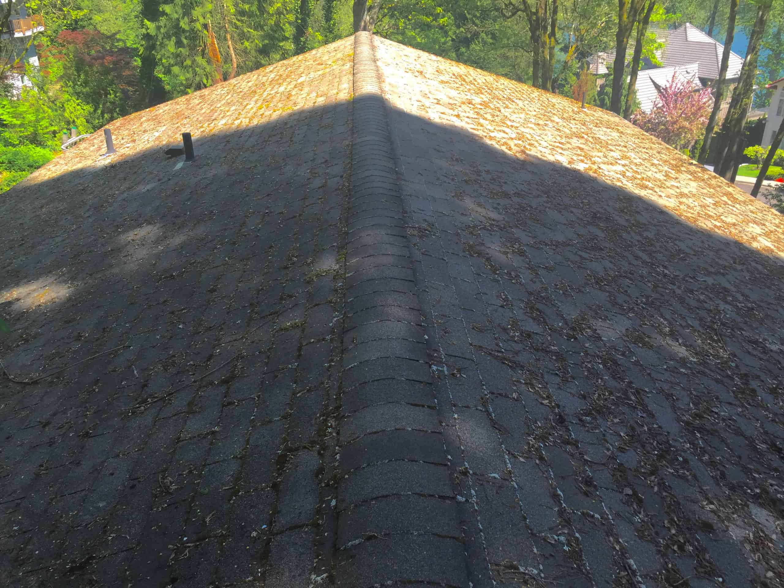 Oregon City Roof Cleaning and Moss Removal Before and After