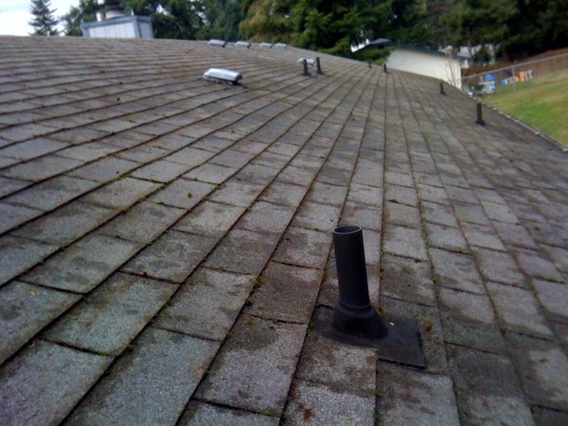 Portland Roof Cleaning and Moss Removal Before and After