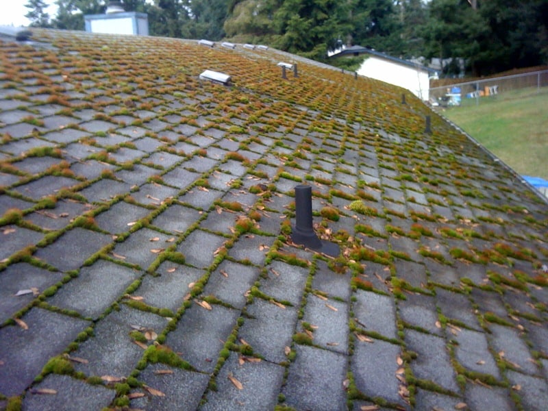 Portland Roof Cleaning and Moss Removal Before and After