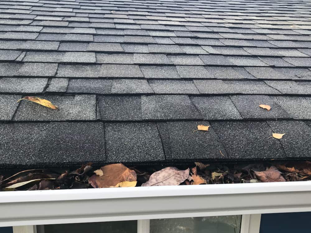 Portland Gutter Cleaning Service Before and After