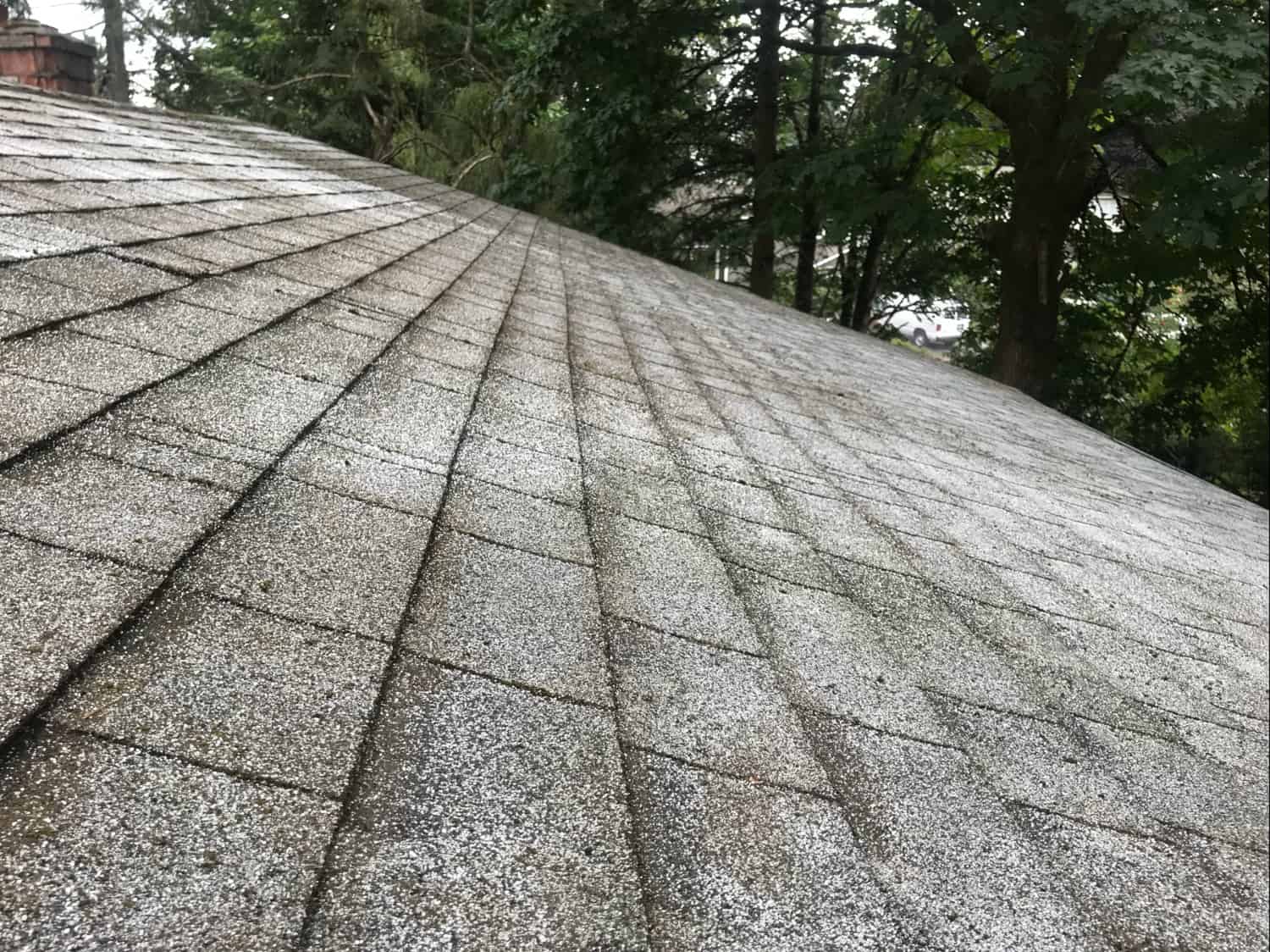 Redmond Roof Cleaning and Moss Removal Before and After
