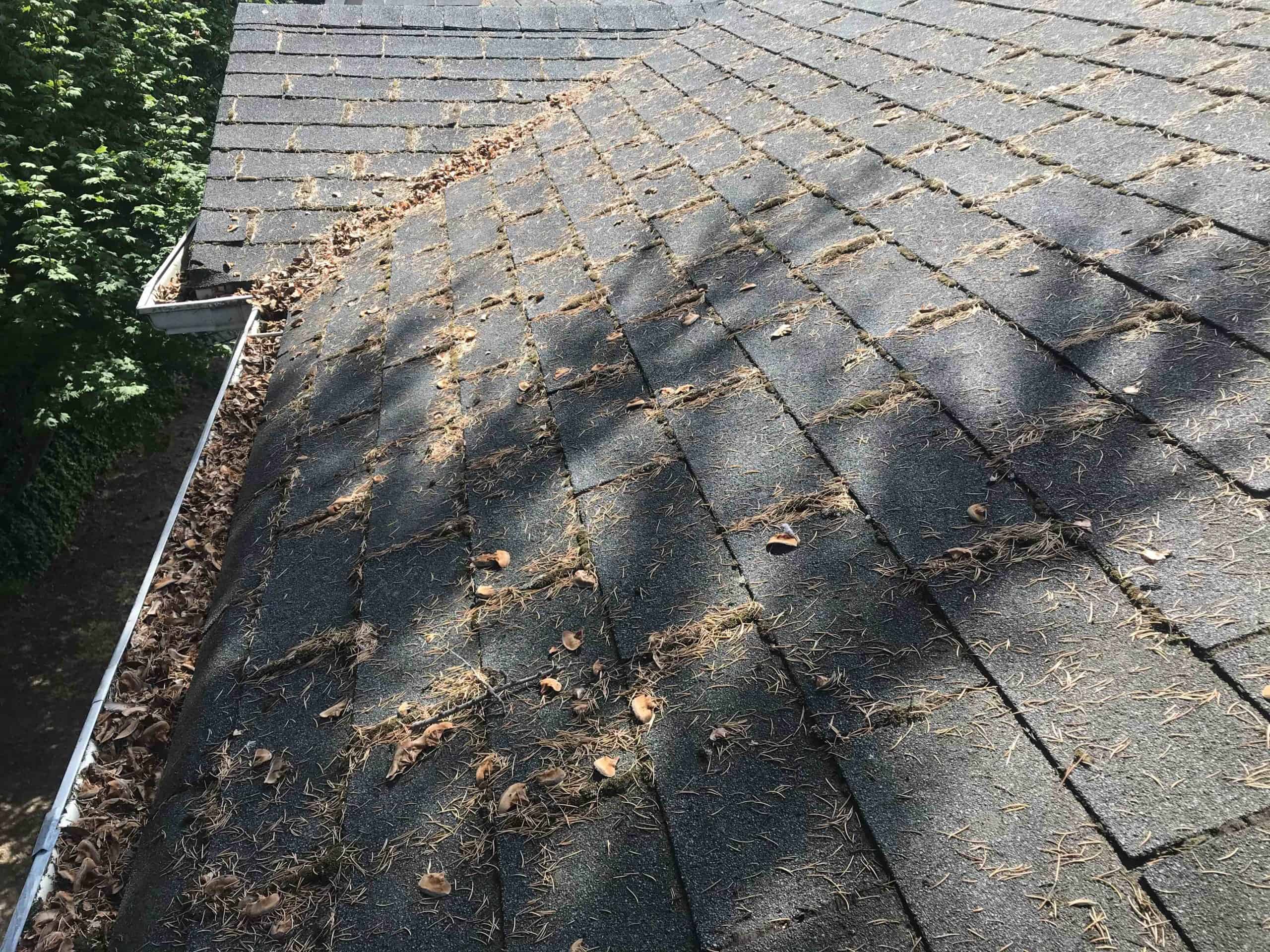 Seattle Roof Cleaning and Moss Removal Before and After