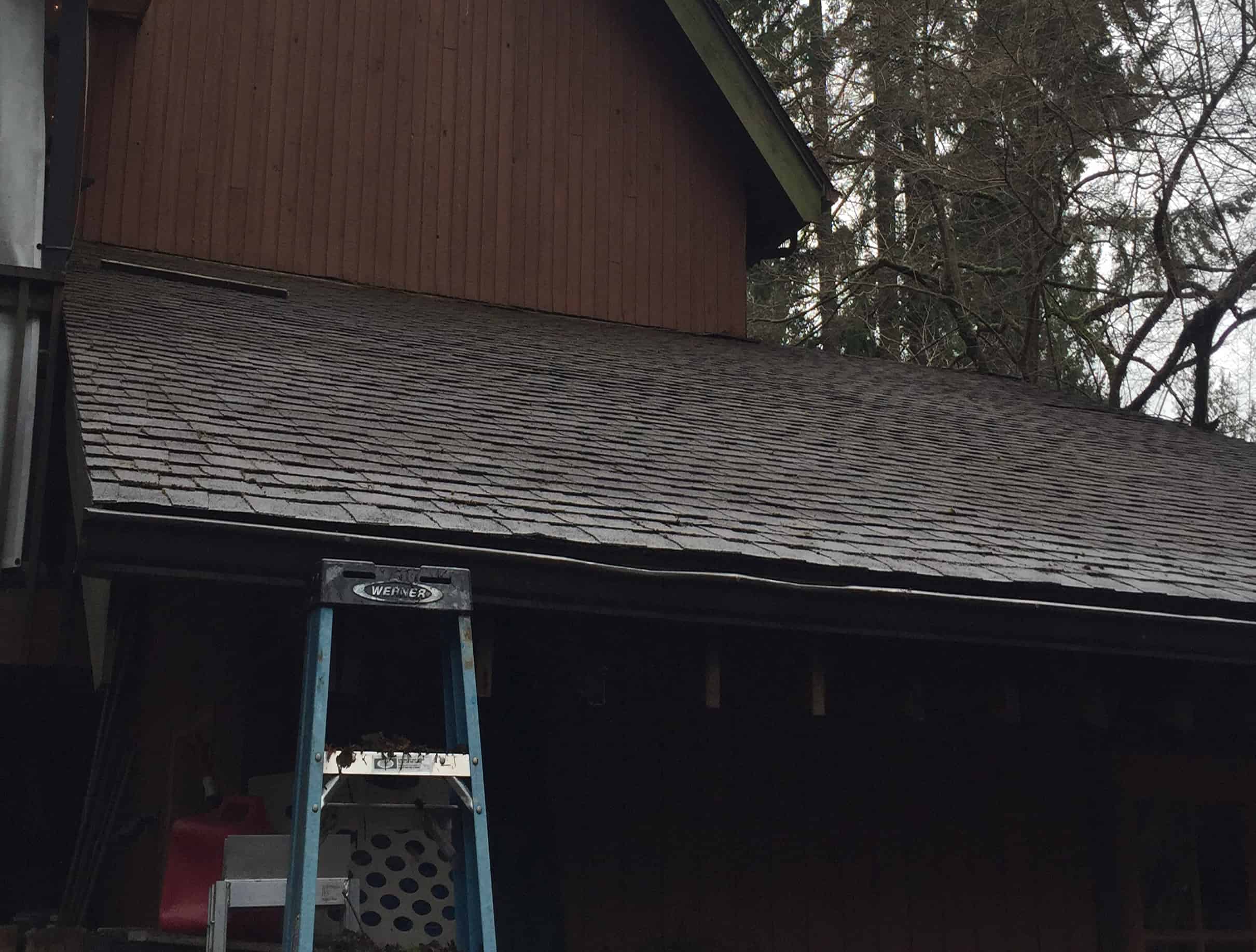 Snohomish Roof Cleaning and Moss Removal Before and After