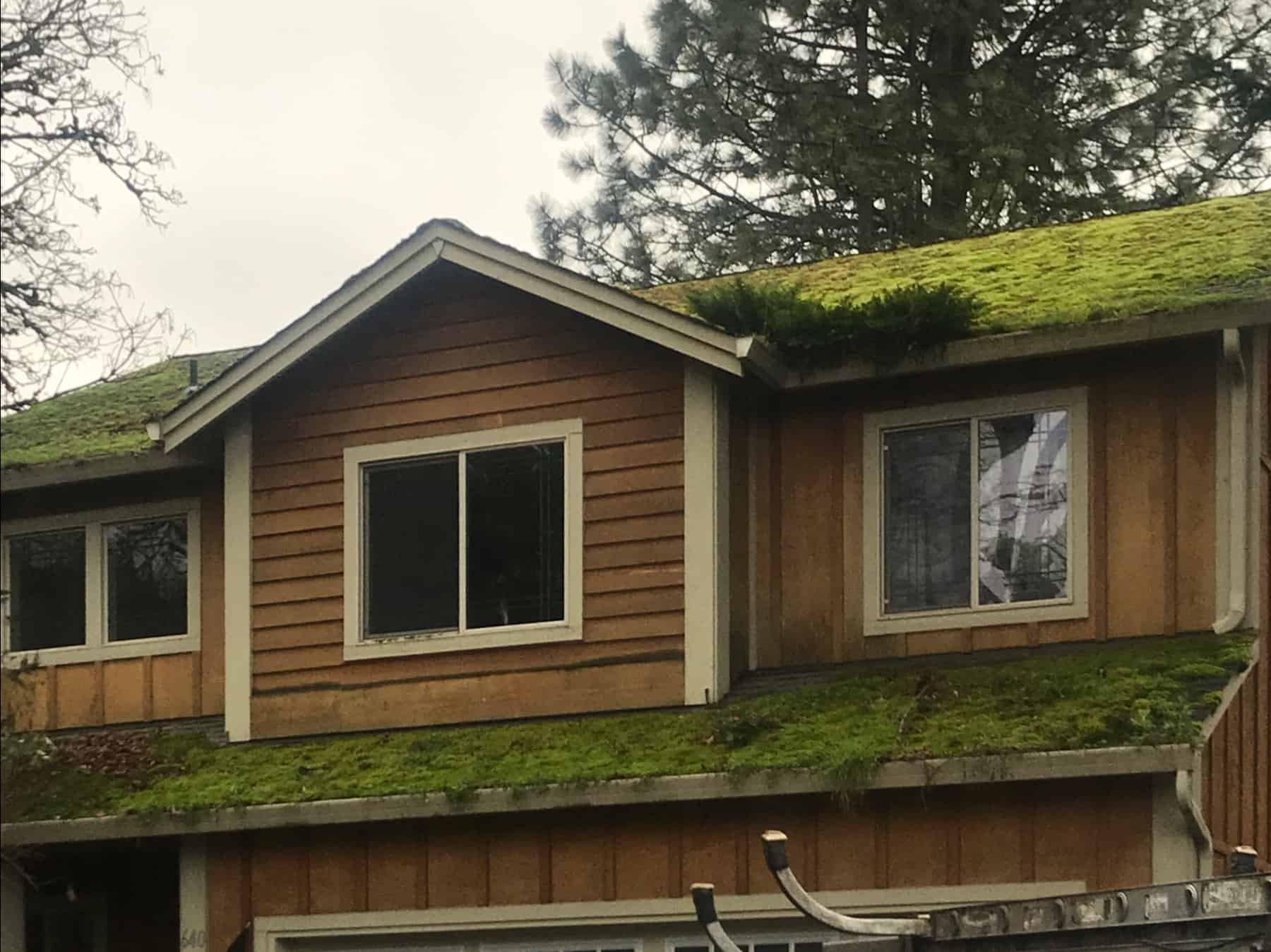 Snoqualmie Roof Cleaning and Moss Removal Before and After