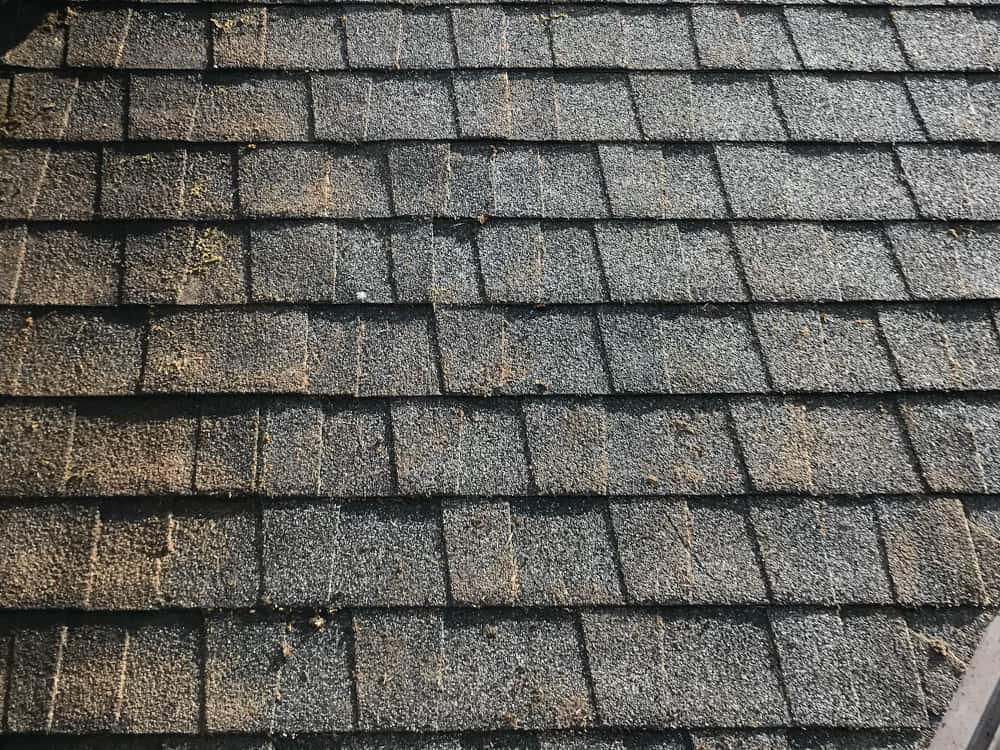 Steilacoom Roof Cleaning and Moss Removal Before and After