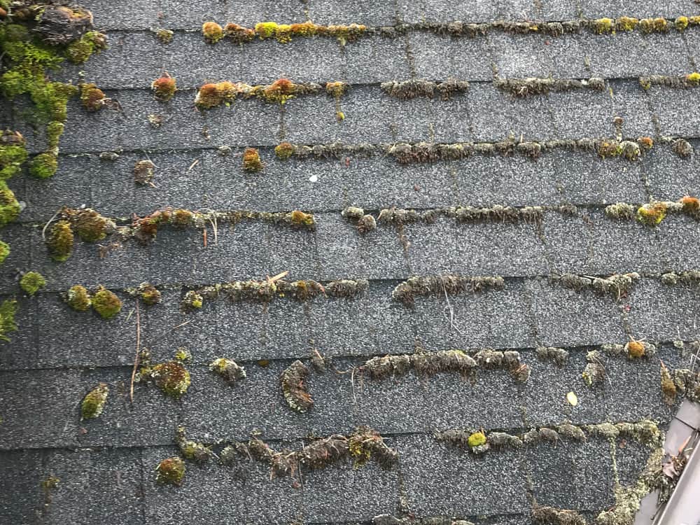 Steilacoom Roof Cleaning and Moss Removal Before and After