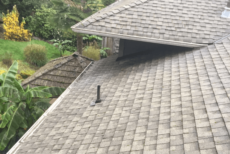 Tacoma Roof Cleaning and Moss Removal Before and After