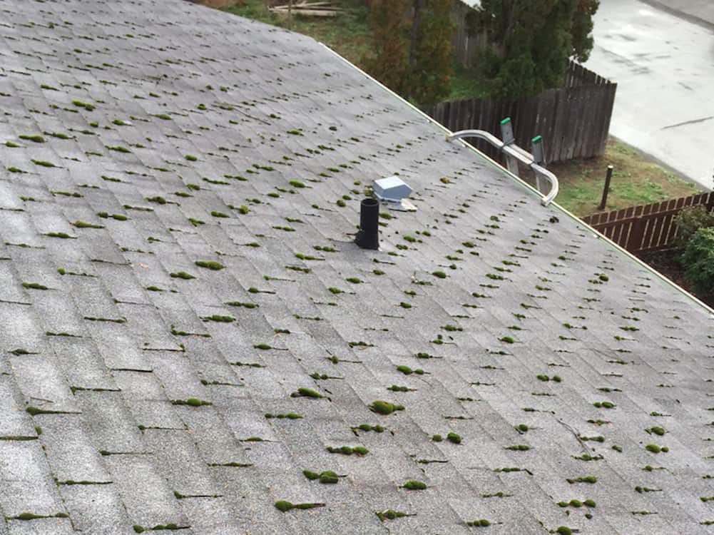 Tigard Roof Cleaning and Moss Removal Before and After