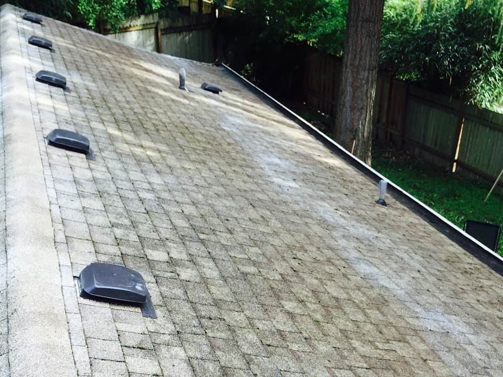 Tualatin Roof Cleaning and Moss Removal Before and After