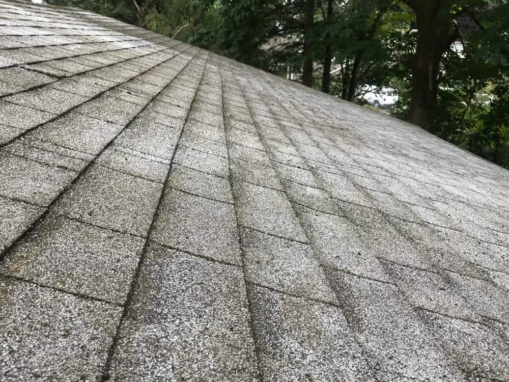 Tukwila Roof Cleaning and Moss Removal Before and After