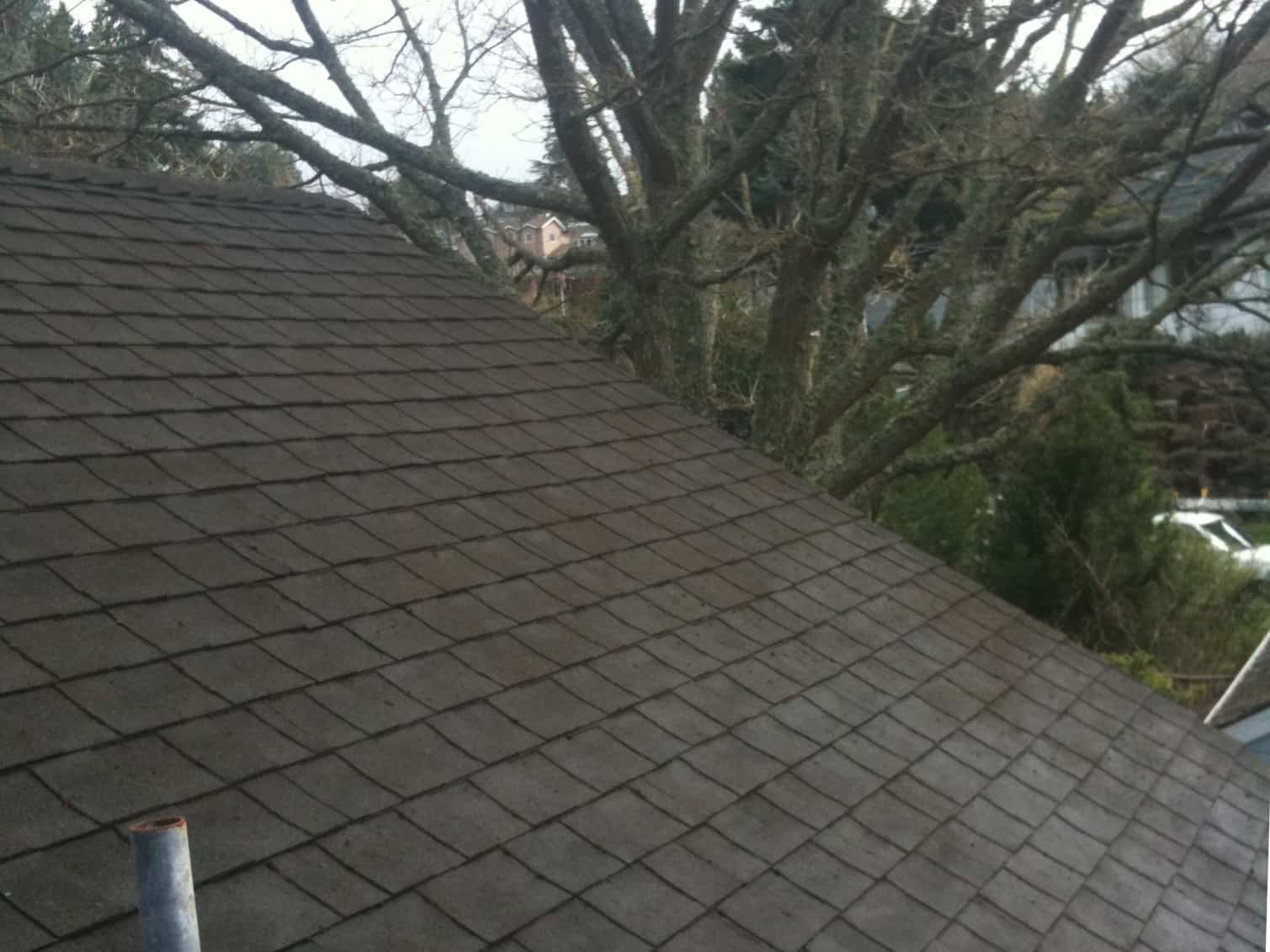 Washougal Roof Cleaning and Moss Removal Before and After
