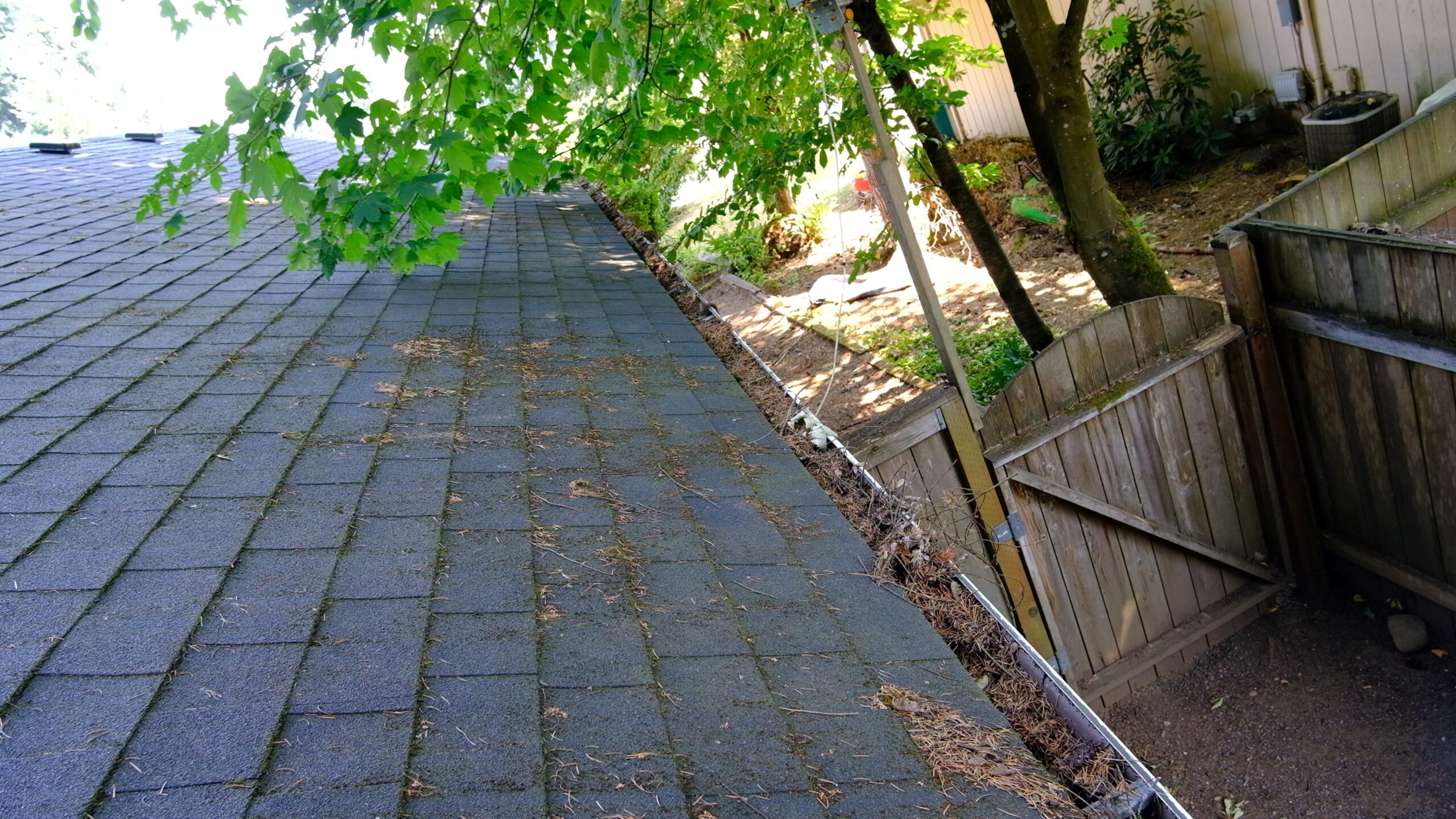 Woodinville Gutter Cleaning Service Before and After Photos