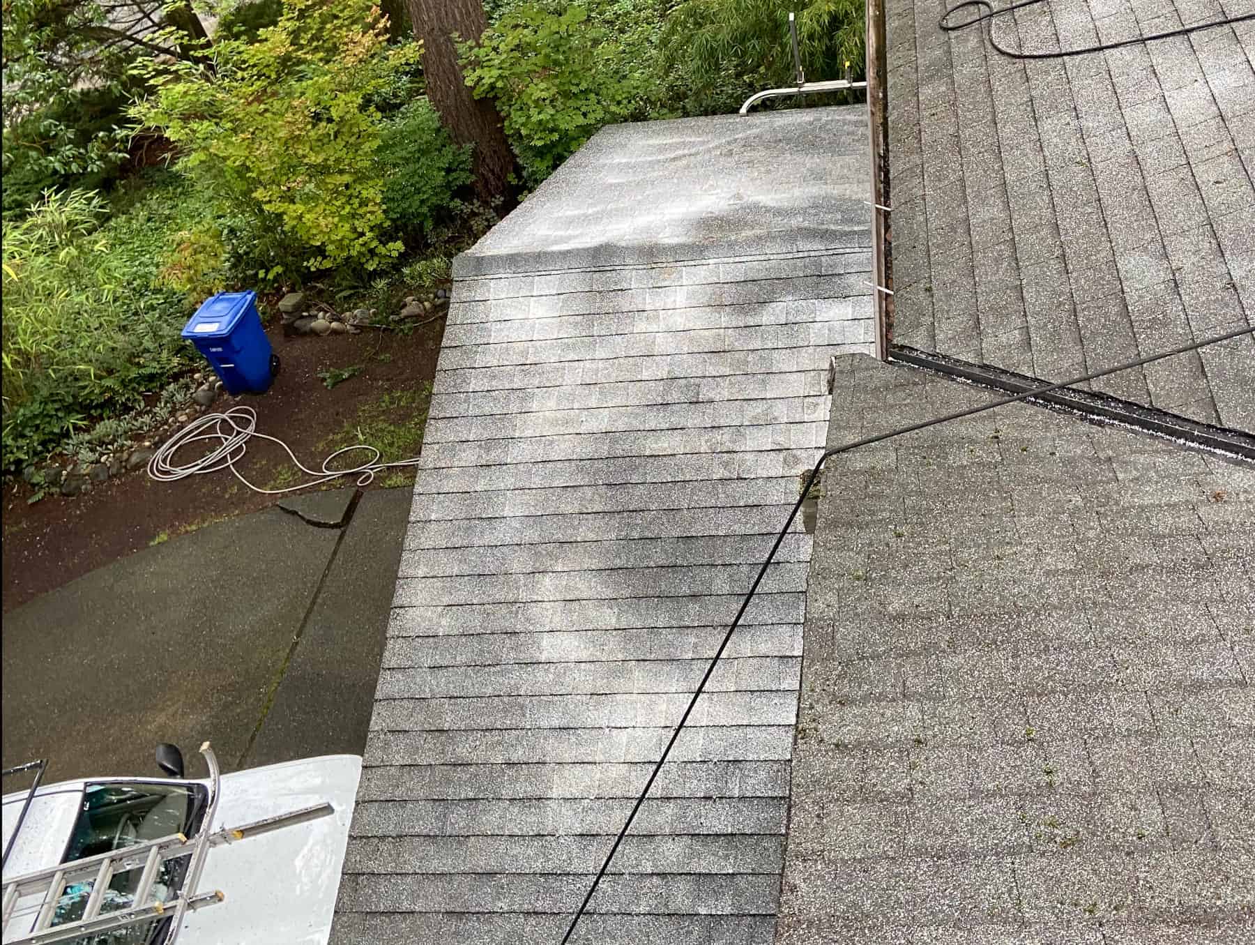 Woodinville Roof Cleaning and Moss Removal Before and After